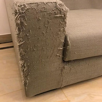 ��Ҳ����Ҫ����ɳ���ˣ���è�������̵�