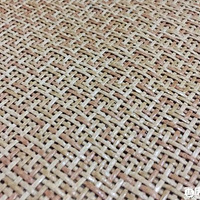 ��ʮ����ϯ��Ǩʷ��8����ϯ�����