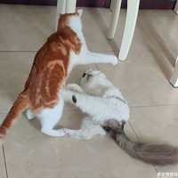 ����һ��ͻ��ܡ���