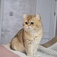 ��װ�������֮ǰ���������ҵı�����