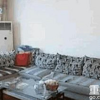 �����ռ�ʧ�ܰ���������Ц�����ۣ�������ʦһ�����ж���