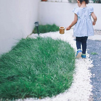 ���ڱ���87�O������Դ��ļң����ҡ�����СԺ��������������