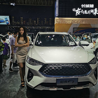 2020��չ������ֻ����ģ������