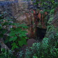 ����һ��