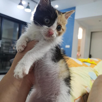 ������Сè�����¼ң�ϣ���Ҹ��а�������������ȥ��