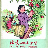 һ1962Ĳɫᡶע⸾Ů ǿͶ