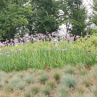 ����̫�ã�����������Լһ��