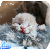 ����һ��������һ�㲻Ϊ����