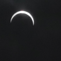 �ź�û�����ջ�ʳ ֻ��������ƫʳ