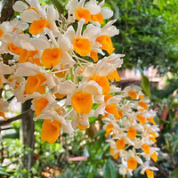 �ͻ���Ʒ�裬�۾�