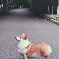 ����̫��