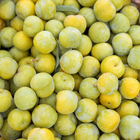 ժӣһγԸĩȥĵ5ڡ