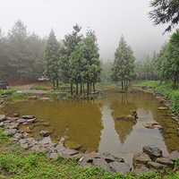 ¶Ӫ֮