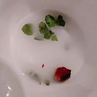 ţ̱õˮ