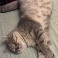 �����������첻��ˣ������ô��