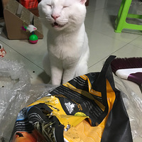 �о���èû��Ҫ�ˡ�