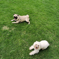 ��ͣ�˿��������Υ��������