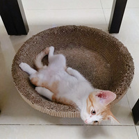 �Ҽ�������