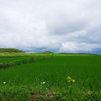 �߹���·��