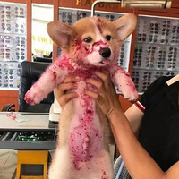 �����˼���Ĺ����Ի���������ʲô�����