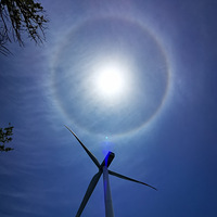 ǿػд糵2020μǡ
