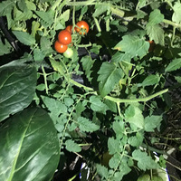 �����æ�Ѿ��þö�ûŪ����������