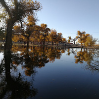 ˵�߾��ߵ�������ʱ�����ԣ�˵���Ͱ��ĳ嶯��Ҳ�Ҳ������ˣ�