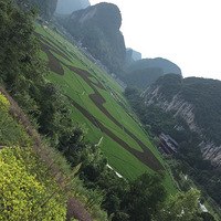 ���к���飨�Լ��Σ�