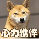 ӶĸѧϰȤҲǲסô죿