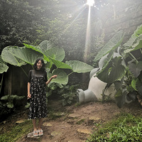 ������к�������