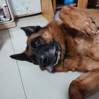 �ϰ壬��jio������ҪǮ����