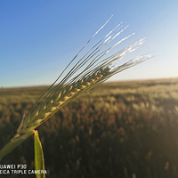 һ�ж���·;��