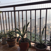 ���ڲ�����ϰ���������̨��