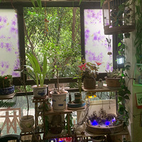 ����ƽ��̨����˼���ĵط������ϰ���������̨��