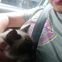 83�������