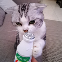 è�����ܺ��޹���ô