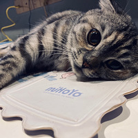 ����һ������ա�