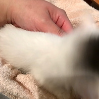 ���Ϻø�λ���ѣ������ָ�С��ϴ���ˣ�ϴ���ʱ��С�ײ�ץ���֣�