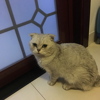 �������ɰ��Ľ���ܵ��Ҹ��¼ң�