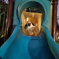 �����������ڸ��Ҽҹ���һ���滬����