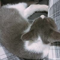 �Է���è��ҧ���ϰ��������׵���