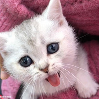 25������