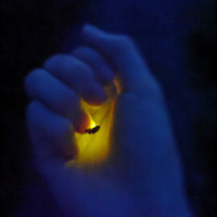 ������֪�����ҿ�����Զʧȥ�����ˡ�