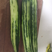 ˬڣóԲֵƹϡļθˣ