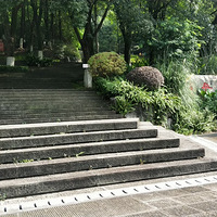 �����������ɽ