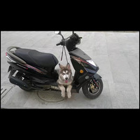 ����֮����ת�䡣��Щ����������������˼�ˡ�����ǰ�аɣ�