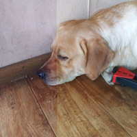 �ּ��ˣ�ॸ���