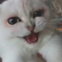 ���͵�ĵ��