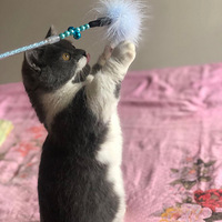 ��������һ�� ����һ����