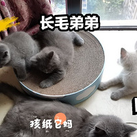 ������è ����������